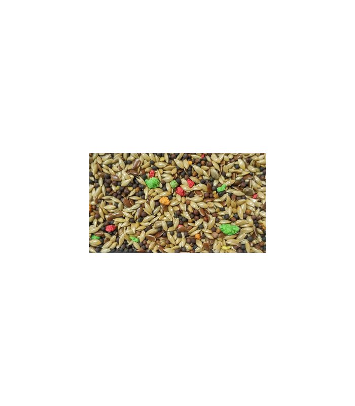 peguer mixtcanarios sin avena bolsa 4 kg