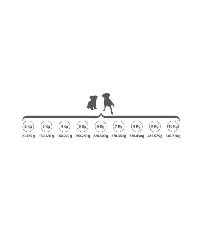 junior ortin premium cachorro 3 kg