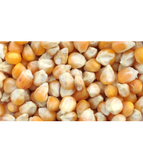 maiz palomero pequeno bolsa 5 kg