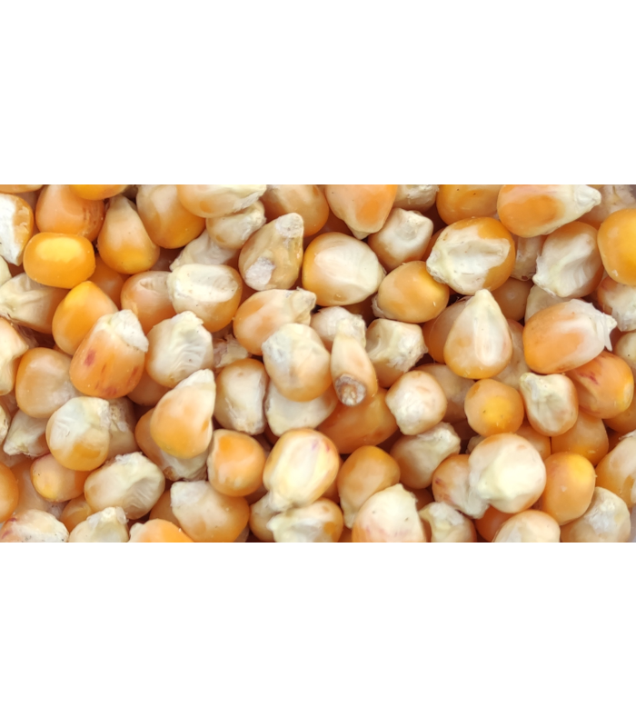 maiz palomero pequeno bolsa 5 kg