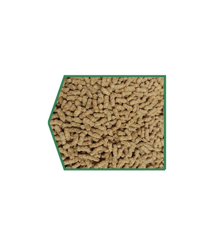 peguer stick tortugas 300gr 50 gr gratis 1400 ml