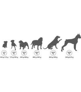 ortin premium cordero y arroz 15 kg