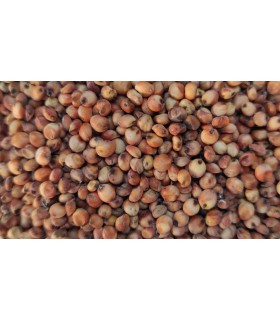 sorgo rojo 25 kg