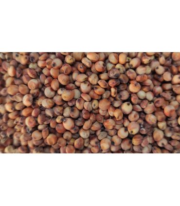 sorgo rojo 25 kg
