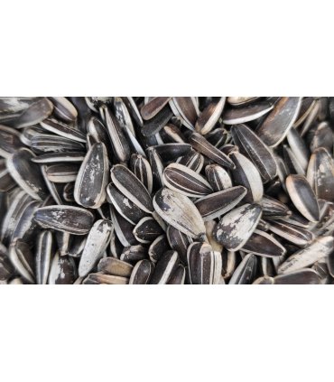 pipas hungaras iregui bolsa 4 kg