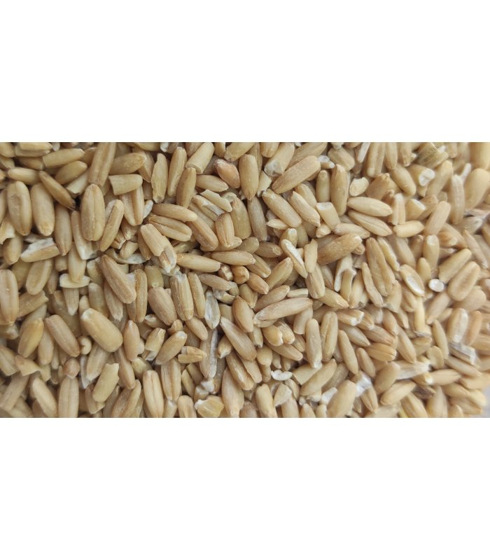 avena pelada bolsa 5 kg