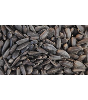 pipas negras bolsa 4 kg