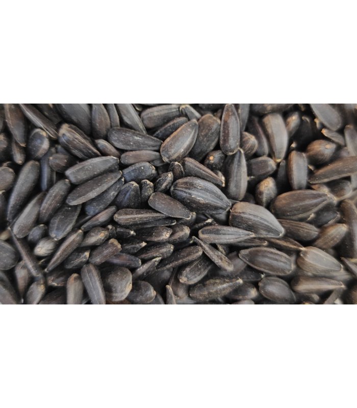 pipas negras bolsa 4 kg