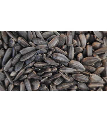 pipas negras bolsa 4 kg