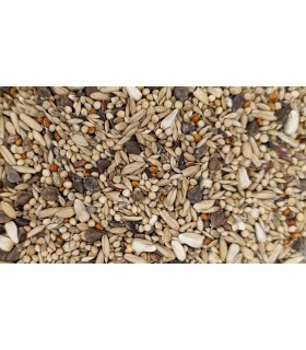 peguer agaponis y cotorras super cria 20 kg saco