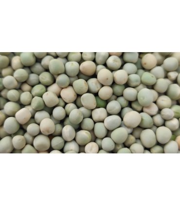 guisantes blancos 25 kg
