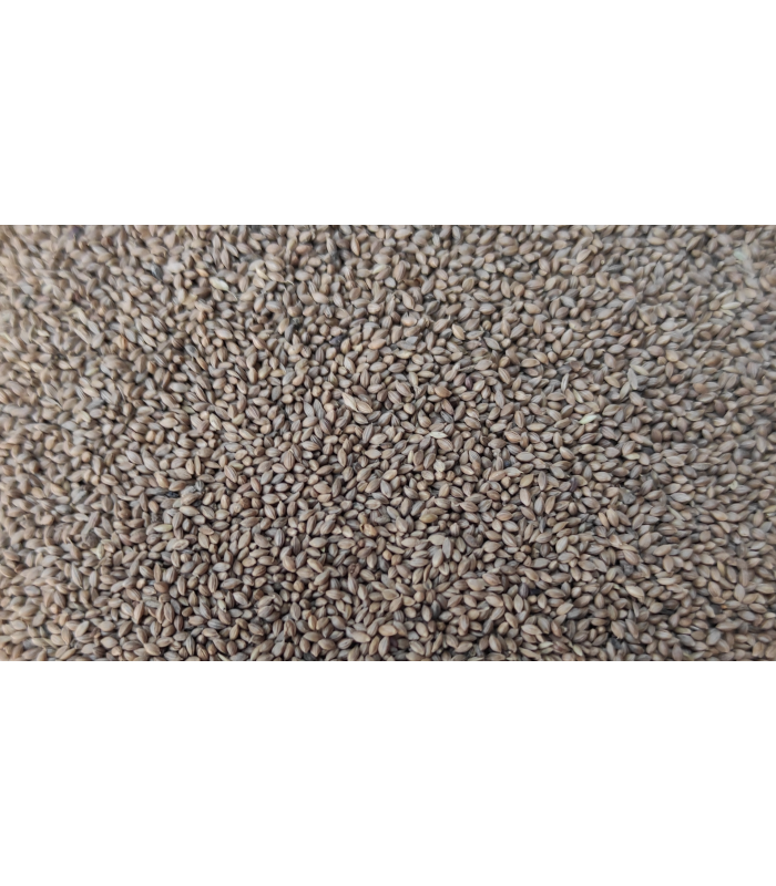 bote foniopaddy 750 gr