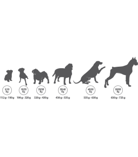 golden can daily 4 kg