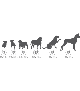 ortin premium salmon y arroz 15 kg