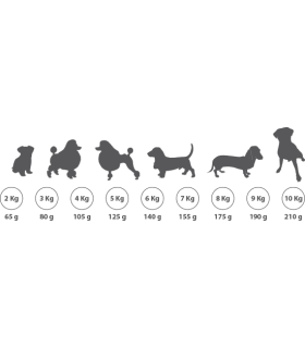 mini adulto ortin premium 3 kg