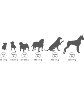 golden can premiun 20 kg