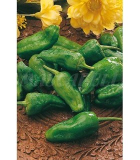 51140 pimiento de padron 05 gr