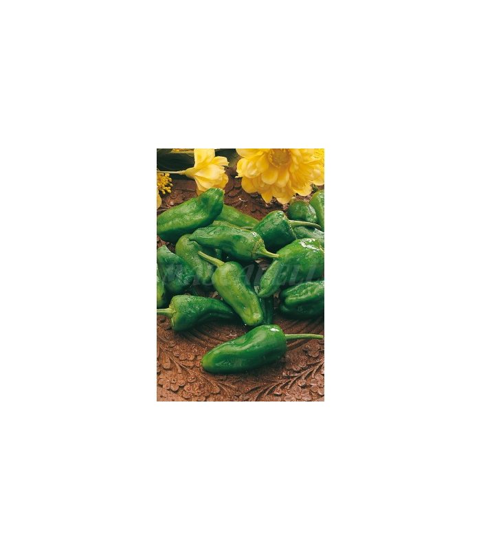 51140 pimiento de padron 05 gr