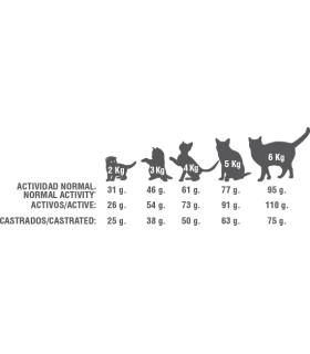 golden cat 20 kg de pescado