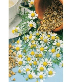 m 91220 manzanilla 075 gr