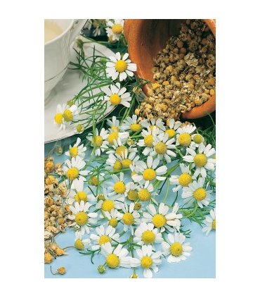 m 91220 manzanilla 075 gr