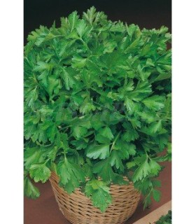 m 91133 perejil comun 5 gr