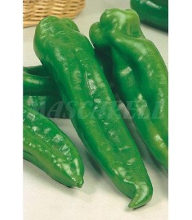 m 51136 pimiento dulce italiano 1 gr