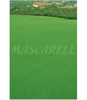 cesped litoral formula sahara 1 kg