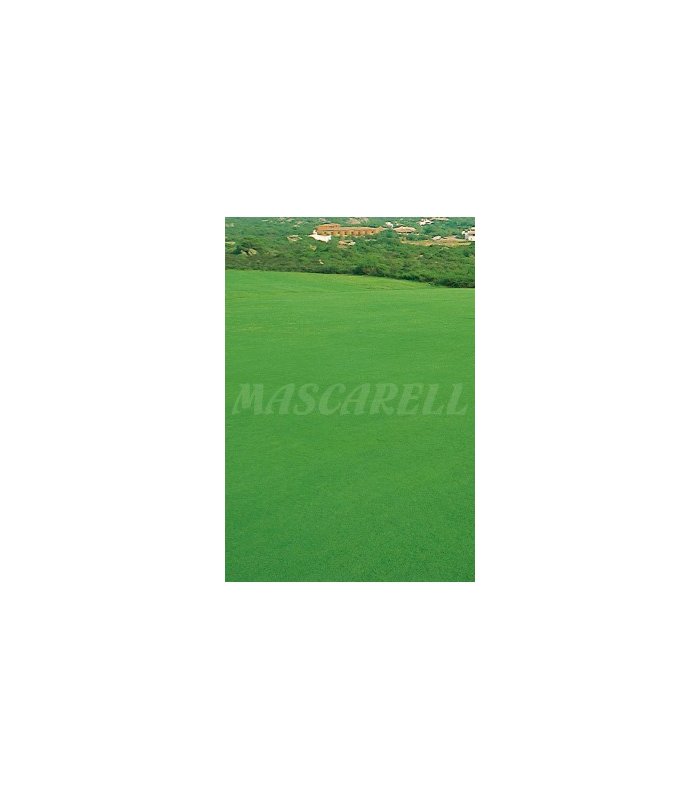 cesped litoral formula sahara 1 kg