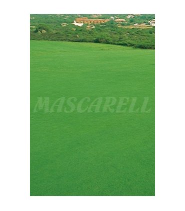 cesped litoral formula sahara 1 kg