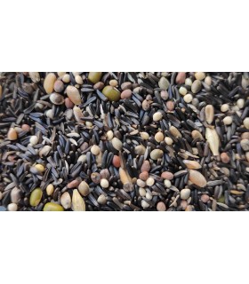 peguer mixt germinacion sin dore bolsa 1 kg