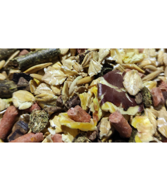 caballos premium 30 kg