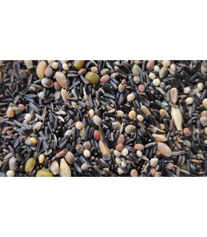 peguer mixt germinacion sin dore bolsa 4 kg