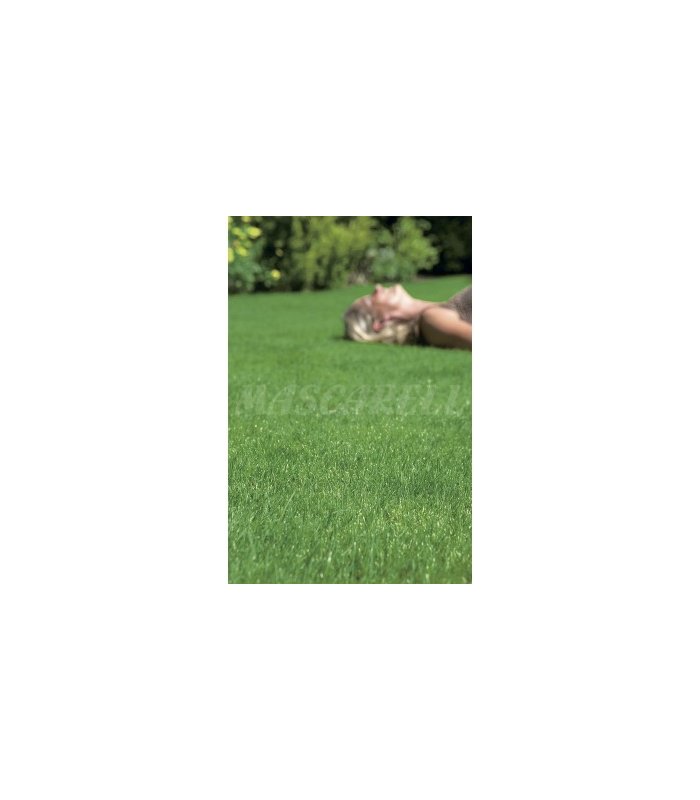 cesped super rustic elite 1 kg