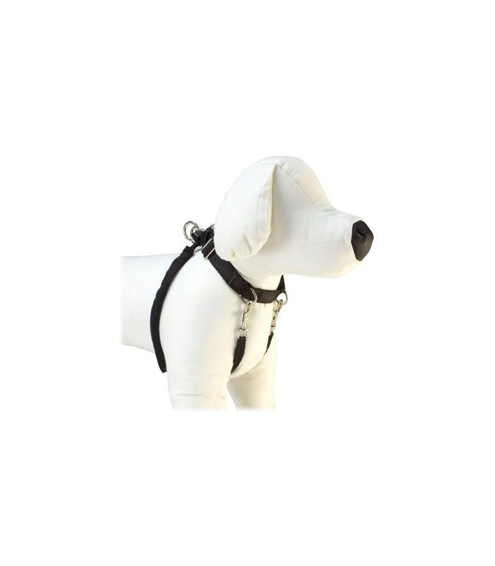 petral training t s 20 22 cm 1301