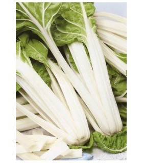 acelga amarilla de lyon 5 gr