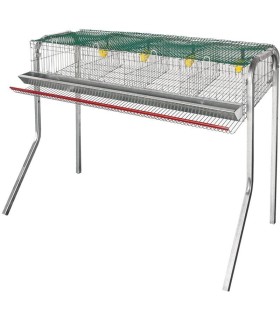 70381 jaula codornices 1piso 4 dp cpata