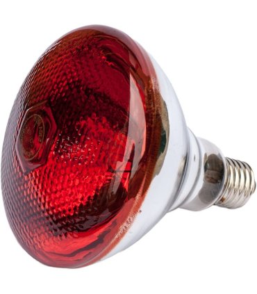 40557 lampara infrarroja 250 w