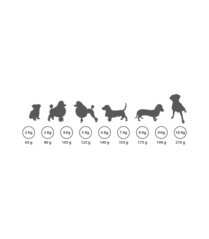 cachorros baby 20 kg