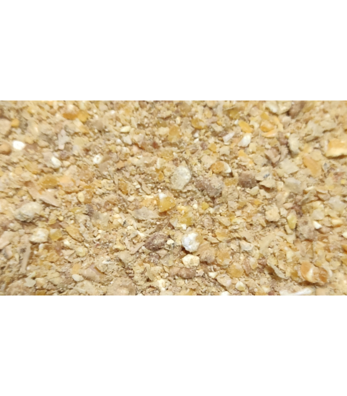 pt pollos terminacion harina 25 kg