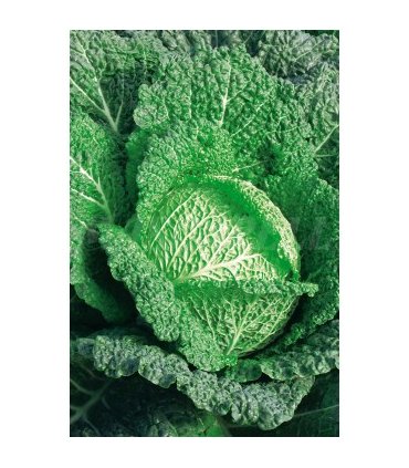 col milan virtudes 4 gr