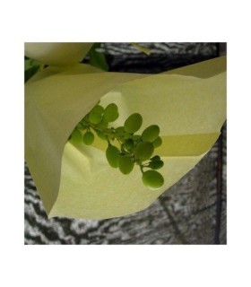 bolsa papel uva n3 395x26 cm