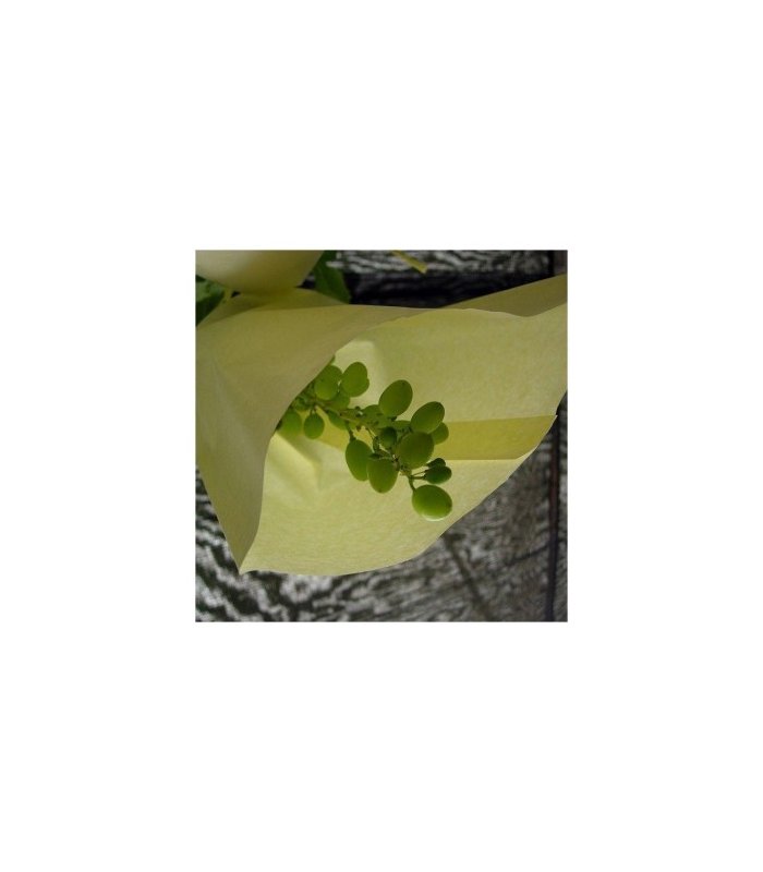 bolsa papel uva n3 395x26 cm