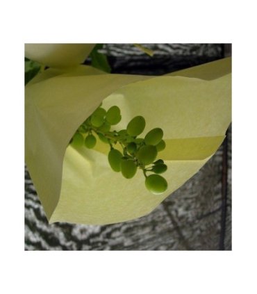 bolsa papel uva n3 395x26 cm