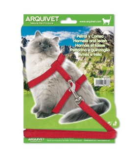 petral ccorrea classic gato 3544 4188