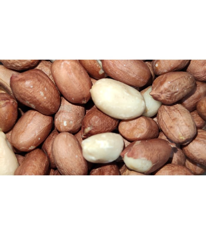 cacahuetes pelados bolsa 5 kg