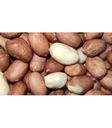 cacahuetes pelados bolsa 5 kg