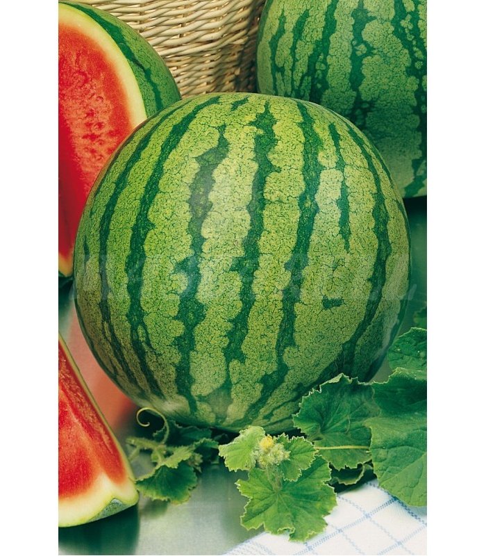 m 91161 sandia crimson sweet 3 gr