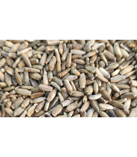 cardo mariano bolsa 4 kg