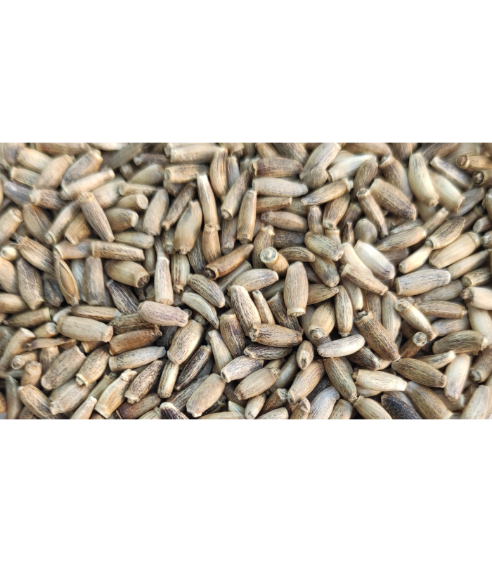 cardo mariano bolsa 4 kg